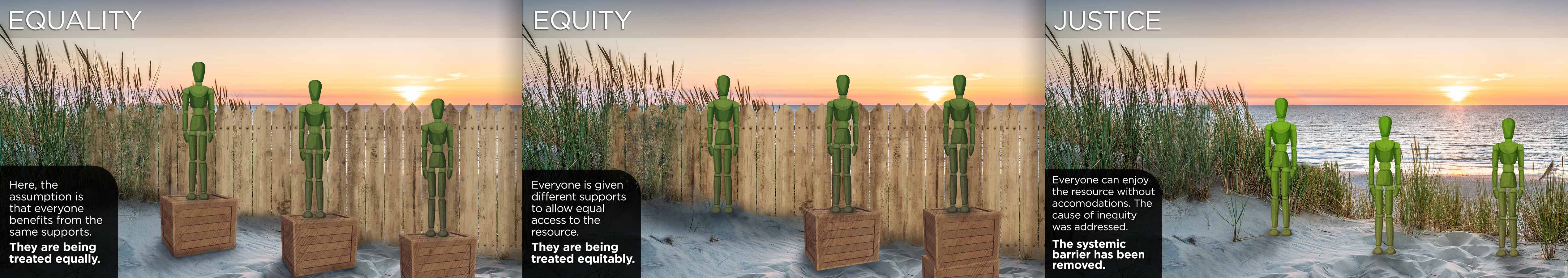 The American Accounting Association